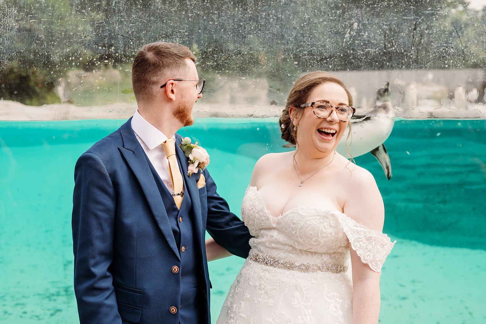 Bride and groom in front of the penguins taken by Chester Zoo wedding photographer